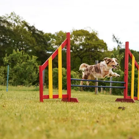 Hof Koehne - Doppelhaus - Dreifachhexe *
