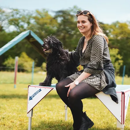 Hof Koehne - Doppelhaus - Dreifachhexe Schmallenberg
