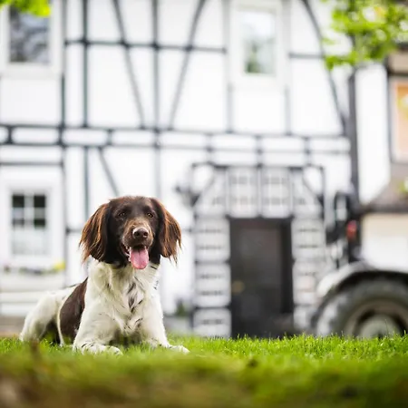 Hof Koehne - Doppelhaus - Dreifachhexe Vakantiehuis *