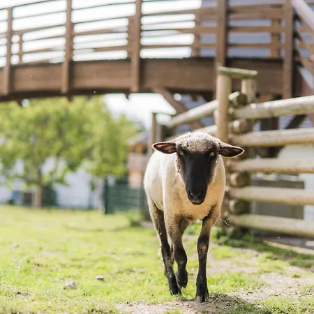 Hof Koehne - Doppelhaus - Dreifachhexe Schmallenberg