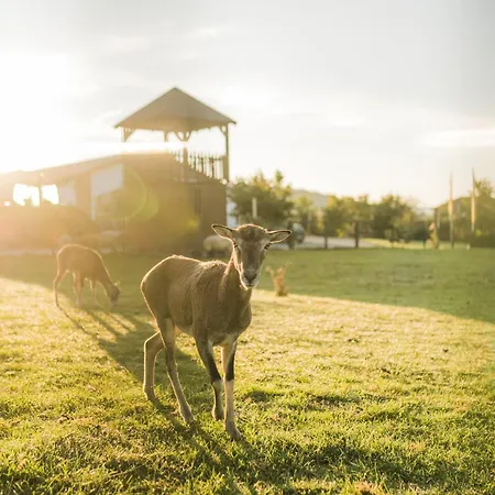 Hof Koehne - Doppelhaus - Dreifachhexe Holiday home *