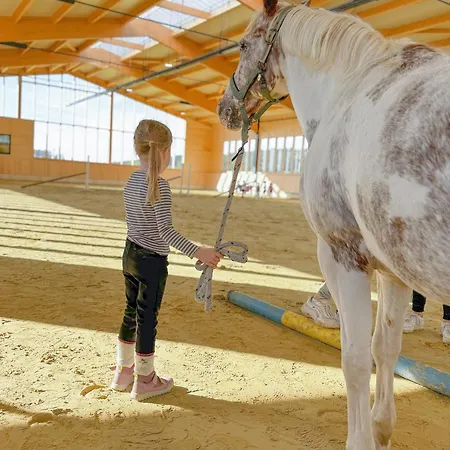 Vakantiehuis Hof Koehne - Doppelhaus - Dreifachhexe Schmallenberg