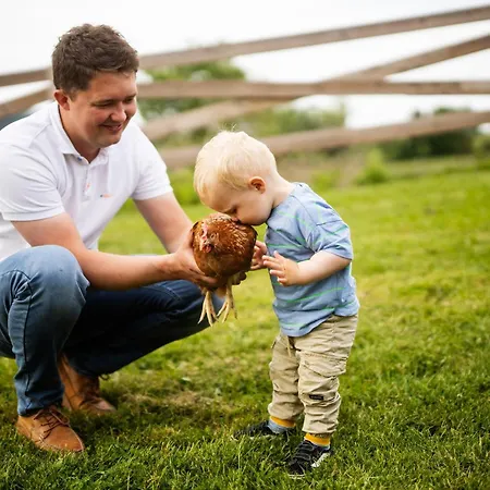 Hof Koehne - Doppelhaus - Dreifachhexe Holiday home Schmallenberg