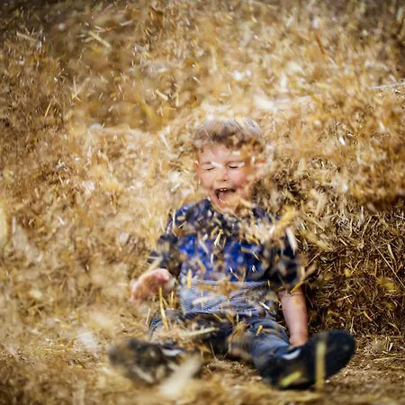 Hof Koehne - Doppelhaus - Dreifachhexe *