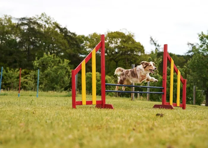 Hof Koehne - Doppelhaus - Dreifachhexe *