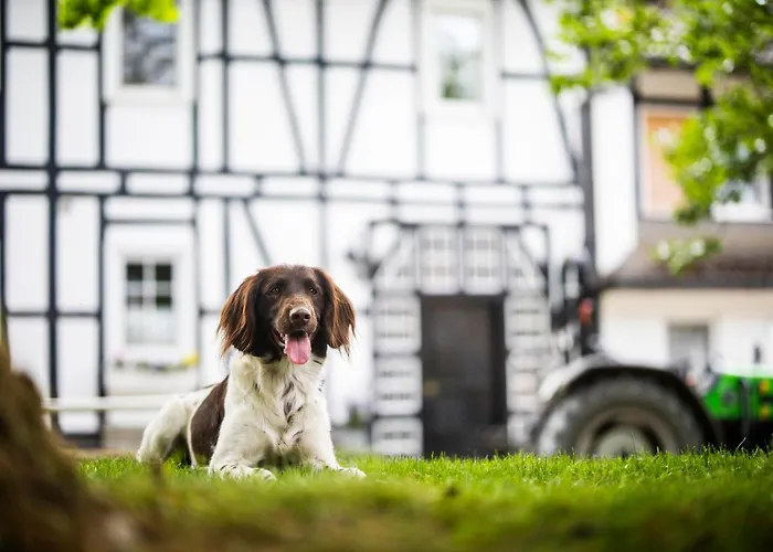 Hof Koehne - Doppelhaus - Dreifachhexe Сasa de vacaciones *