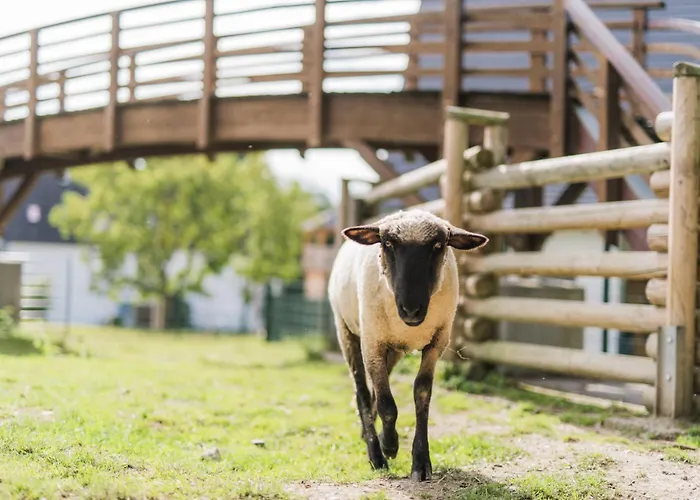 Hof Koehne - Doppelhaus - Dreifachhexe Schmallenberg