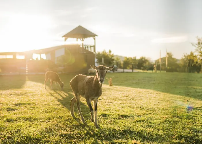 Hof Koehne - Doppelhaus - Dreifachhexe Сasa de vacaciones *