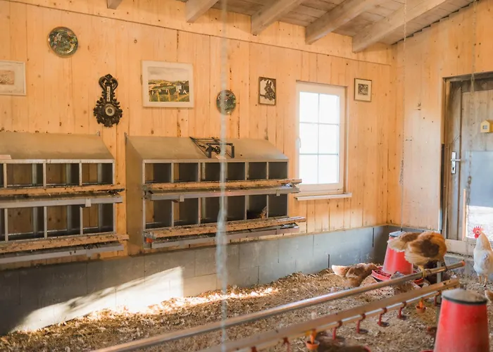 Hof Koehne - Doppelhaus - Dreifachhexe Сasa de vacaciones Schmallenberg
