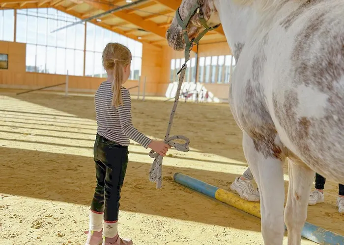 Сasa de vacaciones Hof Koehne - Doppelhaus - Dreifachhexe Schmallenberg